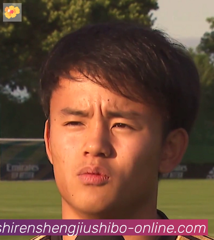 维尼修斯